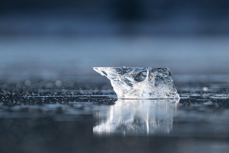 Ice Dragon Egg of the North